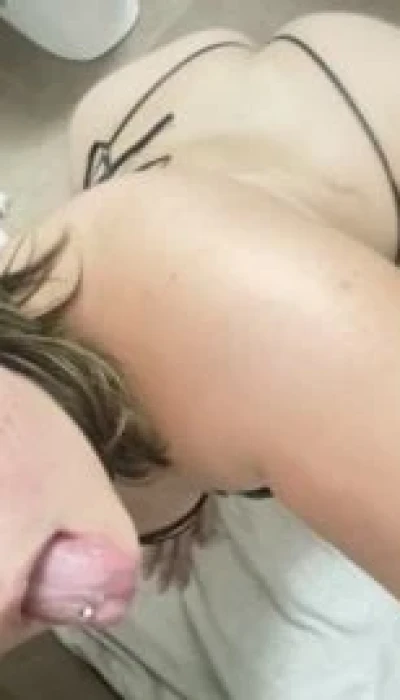 Stefydolly